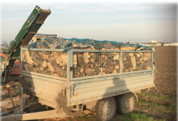holzwagen.png